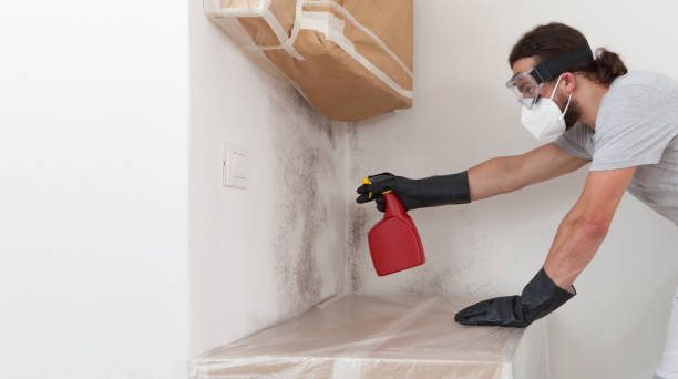 Professional Crawl Space Mold Remediation technician working in Ridgewood, NJ