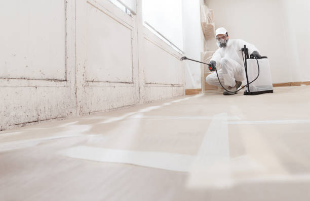 24/7 Emergency Crawl Space Mold Remediation experts in Ridgewood, NJ